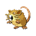 020 Raticate icon